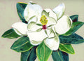 Paper Magnolia II Painting