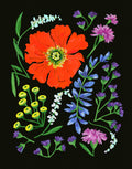 Midnight Poppy Fine Art Print