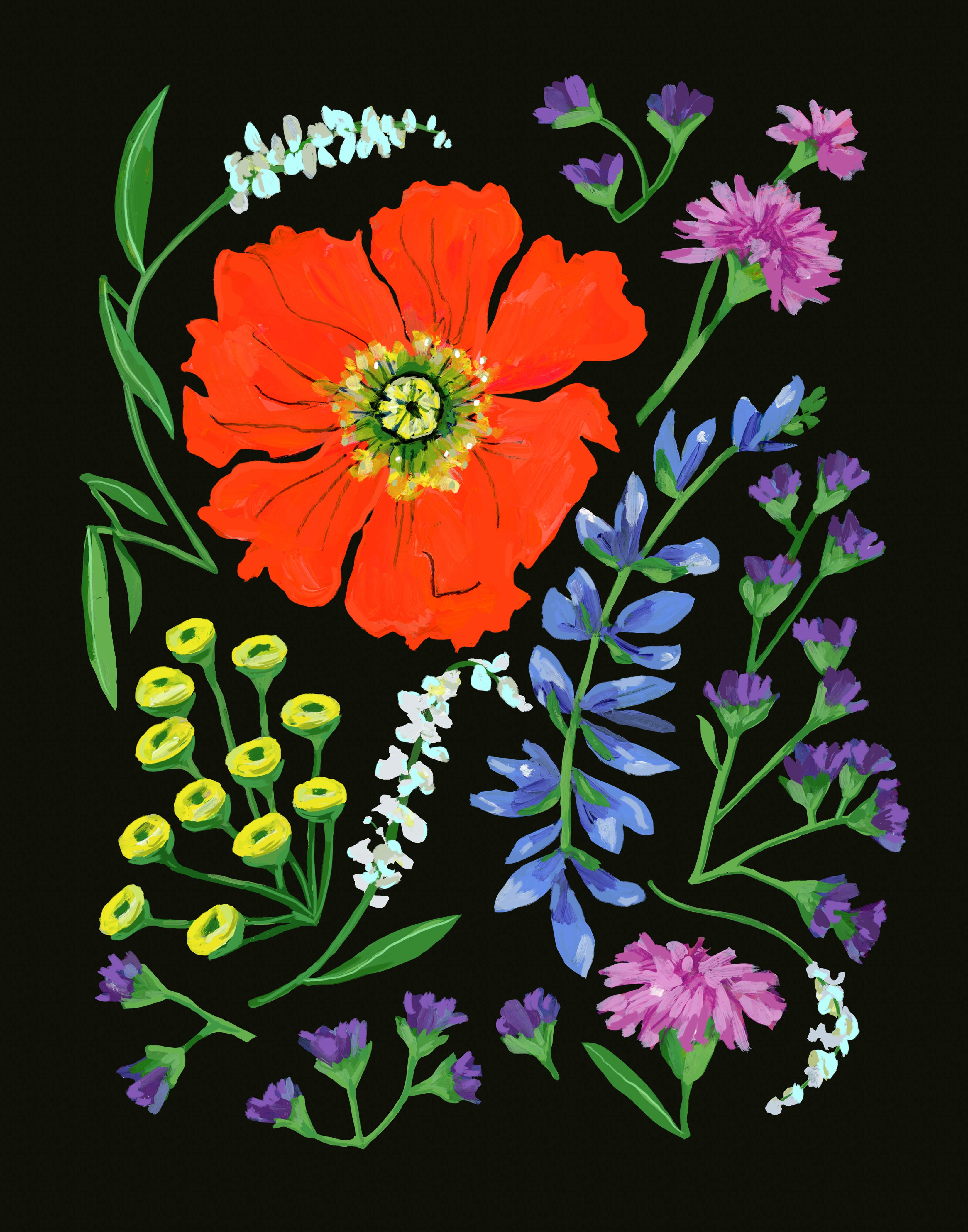 Midnight Poppy Fine Art Print